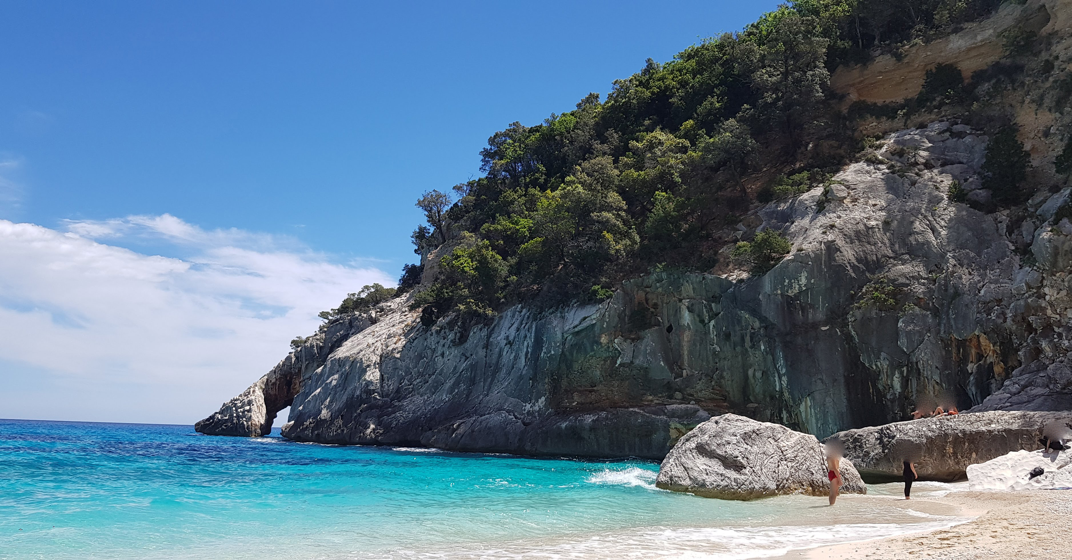 PANORAMIC